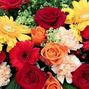 Meet your Posher, Mariam